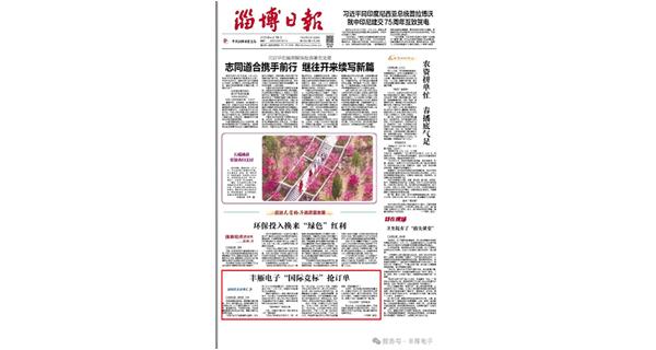 豐雁電子榮登《淄博日報(bào)》頭版
